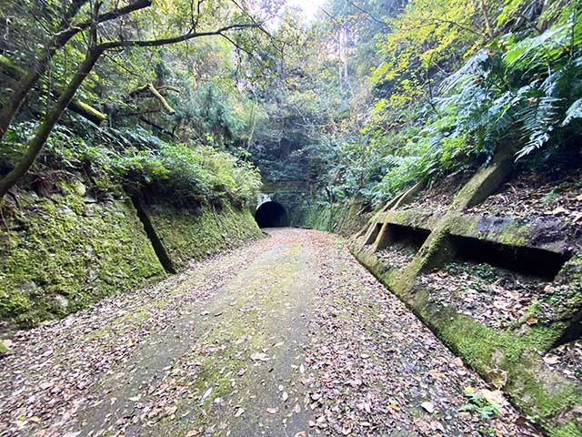 道の駅裏手の歩道を進んでいくと、「鹿背隧道（かせずいどう）」というトンネルがある