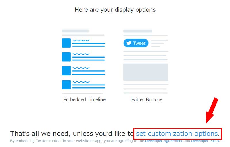 「set customization options」という青文字をクリック