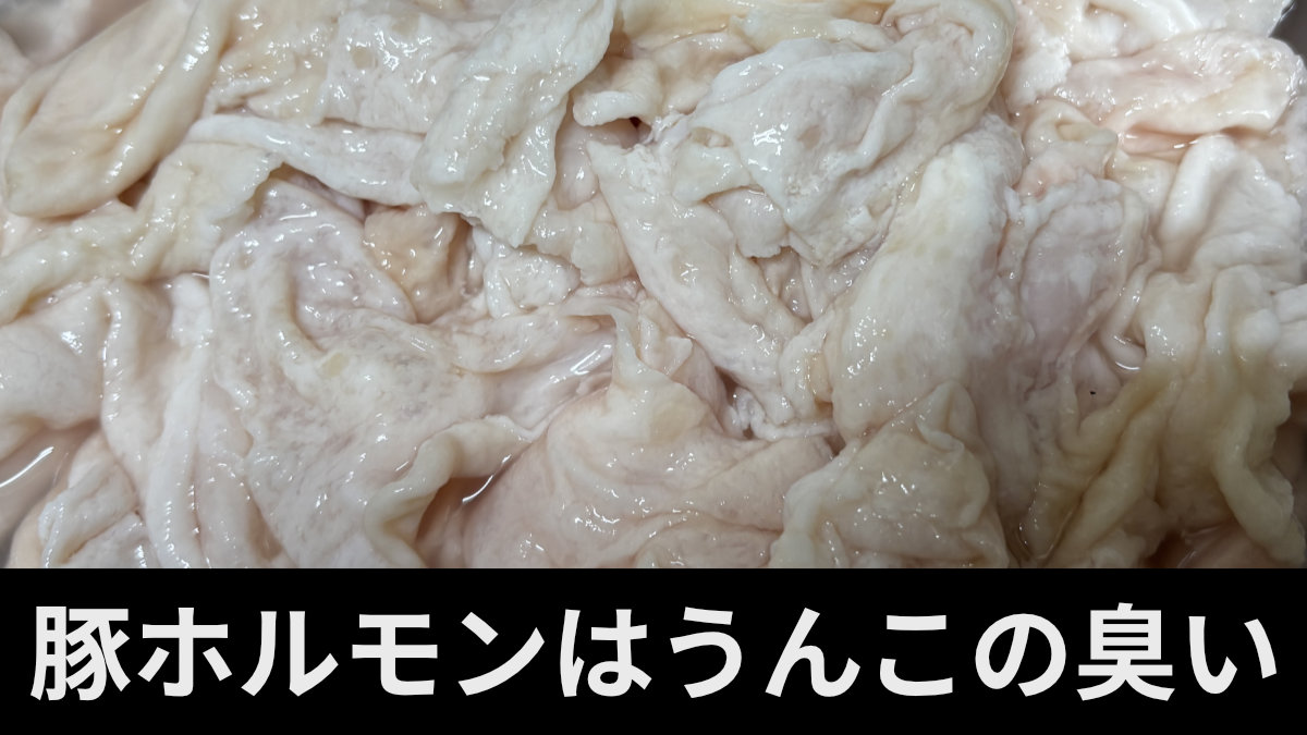 豚ホルモンはうんこの臭い